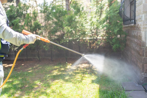 Professional Pest Control in Despard, WV